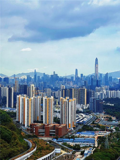 上海喝茶开课，助你成为茶艺高手